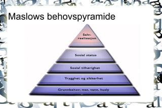 Maslows behovspyramide 