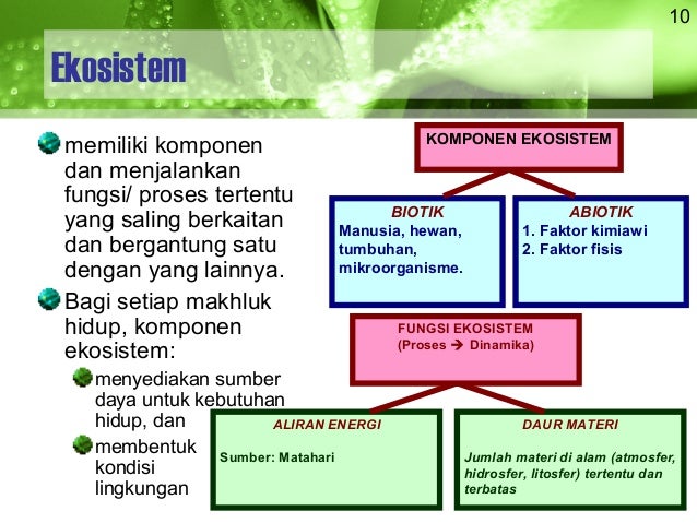 Rekling02a Ekologi Ekosistem Rekling02a Ekologi Ekosistem