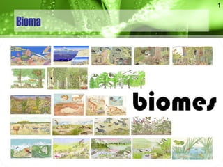 Bioma
1
 