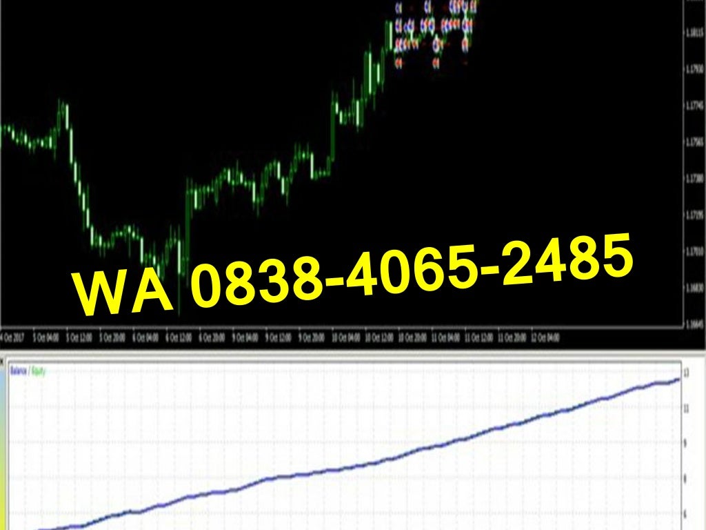 forex 838