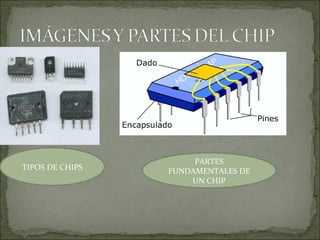 TIPOS DE CHIPS PARTES FUNDAMENTALES DE UN CHIP 