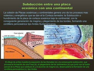 Subducción entre una placa
                    oceánica con una continental
La colisión de Placas oceánicas y continentales genera uno de los procesos mas
violentos y energéticos que se dan el la Corteza terrestre: la Subducción o
hundimiento de la placa de corteza oceánica bajo la continental, con la
consiguiente generación de magma y plegamiento de los bordes, formando una
cordillera perioceánica tipo Andes Sudamericanos.




 El dibujo de arriba muestra la expansión de las Dorsales (a) y la consecuente subducción, que
provoca la formación de una Fosa (b), el plegamiento de los sedimentos (d) que junto con la fusión
parcial de la Placa que subduce (f) y el ascenso de magma (e), desencadena la formación de una
cordillera perioceánica (c), tipo Andes.
 