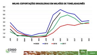 6
PÁGINA 6
ÍNDICE
0,0
1,0
2,0
3,0
4,0
5,0
6,0
7,0
8,0
JAN
FEV
MAR
ABR
MAI
JUN
JUL
AGO
SET
OUT
NOV
DEZ
MILHO: EXPORTAÇÕES BRASILEIRAS EM MILHÕES DE TONELADAS/MÊS
2020 2019 2018 2017
 