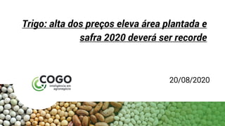 Trigo: alta dos preços eleva área plantada e
safra 2020 deverá ser recorde
20/08/2020
 