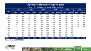 PÁGINA 13
ÍNDICE
AGOSTO 2020
Valor Volume Valor Volume Valor Volume Valor Volume Valor Volume Valor Volume
JAN 89 332 76 378 105 593 124 666 141 625 126 648
FEV 104 409 72 374 85 483 79 420 138 606 107 526
MAR 121 476 124 635 106 588 88 464 155 660 141 660
ABR 101 406 87 456 88 461 130 666 148 619 161 748
MAI 106 431 74 383 94 501 84 398 96 405 104 467
JUN 101 417 102 532 89 460 132 585 99 420 100 434
JUL 127 551 119 611 98 505 182 758 128 558 114 509
AGO 75 327 114 577 130 656 158 632 112 487
SET 87 388 178 881 96 462 145 587 115 493
OUT 106 478 122 625 82 416 119 494 139 607
NOV 105 490 135 701 94 476 117 494 96 447
DEZ 94 464 132 714 81 421 145 652 126 650
TOTAL 1.216 5.170 1.335 6.866 1.149 6.022 1.502 6.817 1.491 6.576 853 3.993
Fonte: Secex até 31/07/2020.
Valor: US$ milhões - Volume: Mil toneladas
20202015 2016 2017 2018 2019
MÊS
Importações Mensais de Trigo em grãos
 