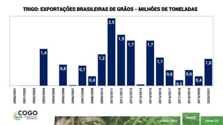 PÁGINA 15
ÍNDICE
AGOSTO 2020
0,0 0,0 0,0
1,4
0,0
0,8
0,0
0,7
0,4
1,2
2,5
1,9
1,7
0,0
1,7
1,1
0,6
0,2
0,6
0,4
1,0
2000/2001
2001/2002
2002/2003
2003/2004
2004/2005
2005/2006
2006/2007
2007/2008
2008/2009
2009/2010
2010/2011
2011/2012
2012/2013
2013/2014
2014/2015
2015/2016
2016/2017
2017/2018
2018/2019
2019/2020
2020/2021
TRIGO: EXPORTAÇÕES BRASILEIRAS DE GRÃOS - MILHÕES DE TONELADAS
 