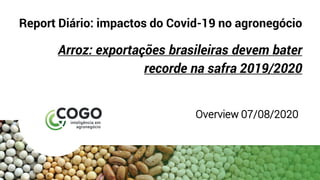 Report Diário: impactos do Covid-19 no agronegócio
Arroz: exportações brasileiras devem bater
recorde na safra 2019/2020
Overview 07/08/2020
 