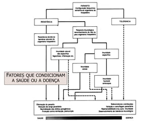FATORES QUE CONDICIONAM
A SAÚDE OU A DOENÇA
 
