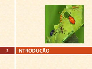 INTRODUÇÃO2
 