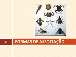 FORMAS DE ASSOCIAÇÃO33
 