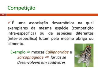  É uma associação desarmônica na qual
exemplares da mesma espécie (competição
intra-específica) ou de espécies diferentes
(inter-específica) lutam pelo mesmo abrigo ou
alimento.
Exemplo  moscas Calliphoridae e
Sarcophagidae  larvas se
desenvolvem em cadáveres
34
Competição
 
