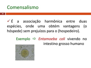  É a associação harmônica entre duas
espécies, onde uma obtém vantagens (o
hóspede) sem prejuízos para o (hospedeiro).
Exemplo  Entamoeba coli vivendo no
intestino grosso humano
38
Comensalismo
 