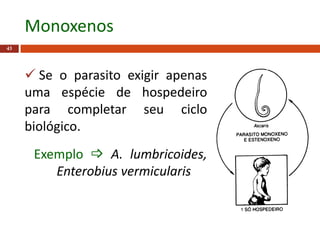  Se o parasito exigir apenas
uma espécie de hospedeiro
para completar seu ciclo
biológico.
Exemplo  A. lumbricoides,
Enterobius vermicularis
43
Monoxenos
 