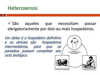  São aqueles que necessitam passar
obrigatoriamente por dois ou mais hospedeiros.
44
Heteroxenos
Um deles é o hospedeiro definitivo
e os demais são hospedeiros
intermediários, para que os
parasitos possam completar seu
ciclo biológico.
 