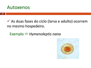  As duas fases do ciclo (larva e adulto) ocorrem
no mesmo hospedeiro.
Exemplo  Hymenoleptis nana
45
Autoxenos
 