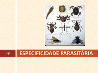ESPECIFICIDADE PARASITÁRIA49
 