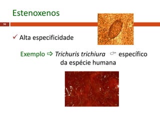  Alta especificidade
50
Estenoxenos
Exemplo  Trichuris trichiura  específico
da espécie humana
 