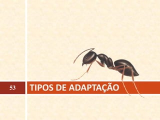 TIPOS DE ADAPTAÇÃO53
 
