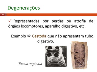 Representadas por perdas ou atrofia de
órgãos locomotores, aparelho digestivo, etc.
Exemplo  Cestoda que não apresentam tubo
digestivo.
55
Degenerações
Taenia saginata
 