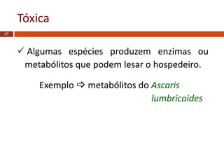 Tóxica
67
 Algumas espécies produzem enzimas ou
metabólitos que podem lesar o hospedeiro.
Exemplo  metabólitos do Ascaris
lumbricoides
 