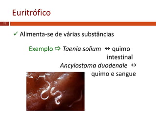 Euritrófico
77
 Alimenta-se de várias substâncias
Exemplo  Taenia solium  quimo
intestinal
Ancylostoma duodenale 
quimo e sangue
 
