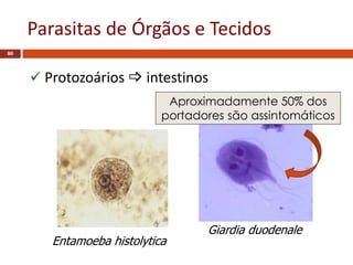 Parasitas de Órgãos e Tecidos
80
Entamoeba histolytica
Giardia duodenale
 Protozoários  intestinos
Aproximadamente 50% dos
portadores são assintomáticos
 