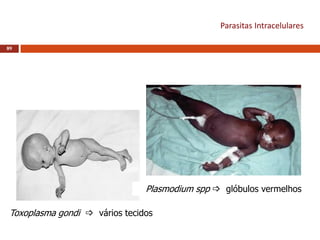 Parasitas Intracelulares
89
Toxoplasma gondi  vários tecidos
Plasmodium spp  glóbulos vermelhos
 