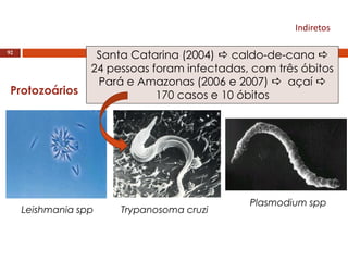 Indiretos
92
Protozoários
Leishmania spp Trypanosoma cruzi
Plasmodium spp
Santa Catarina (2004)  caldo-de-cana 
24 pessoas foram infectadas, com três óbitos
Pará e Amazonas (2006 e 2007)  açaí 
170 casos e 10 óbitos
 