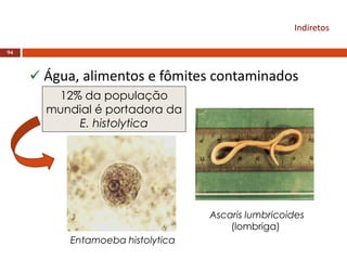 Indiretos
94
 Água, alimentos e fômites contaminados
Entamoeba histolytica
Ascaris lumbricoides
(lombriga)
12% da população
mundial é portadora da
E. histolytica
 