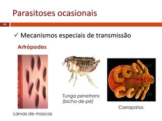 Parasitoses ocasionais
99
 Mecanismos especiais de transmissão
Artrópodes
Larvas de moscas
Tunga penetrans
(bicho-de-pé)
Carrapatos
 