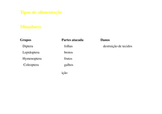 Tipos de alimentação
Minadores
Grupos Partes atacada Danos
Diptera folhas destruição de tecidos
Lepidoptera brotos
Hymenoptera frutos
Coleoptera galhos
ição
 
