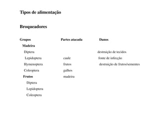 Tipos de alimentação
Broqueadores
Grupos Partes atacada Danos
Madeira
Diptera destruição de tecidos
Lepidoptera caule fonte de infecção
Hymenoptera frutos destruição de frutos/sementes
Coleoptera galhos
Frutos madeira
Diptera
Lepidoptera
Coleoptera
 