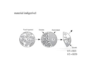 material indigerível
1/3 = ECI
1/2 = ECD
 