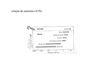 relação de nutrientes (C/N)
 
