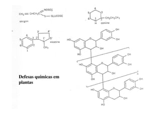 Defesas químicas em
plantas
 