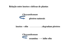 Relação entre insetos e defesas de plantas
Chrysanthemum
piretros naturais
insetos – ofm degradam piretros
insetos – ofm degradam piretros
Chrysanthemum
sesamina inibe ofm
 