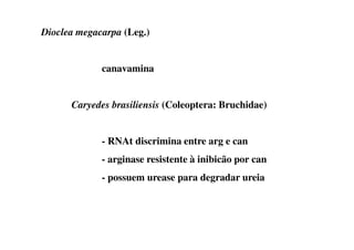 Dioclea megacarpa (Leg.)
canavamina
Caryedes brasiliensis (Coleoptera: Bruchidae)
- RNAt discrimina entre arg e can
- arginase resistente à inibicão por can
- possuem urease para degradar ureia
 