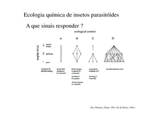 Ecologia química de insetos parasitóides
A que sinais responder ?
(Vet, Wackers, Dicke 1991, Vet & Dicke, 1992,)
 
