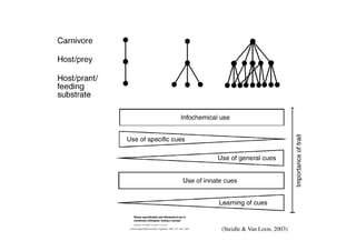 (Steidle & Van Loon, 2003)
 