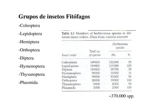 Grupos de insetos Fitófagos
-Coleoptera
-Lepidoptera
-Hemiptera
-Orthoptera
-Diptera
-Hymenoptera
-Thysanoptera
-Phasmida
~370.000 spp.
 