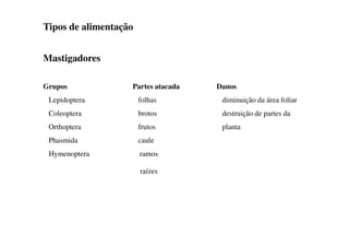 Tipos de alimentação
Mastigadores
Grupos Partes atacada Danos
Lepidoptera folhas diminuição da área foliar
Coleoptera brotos destruição de partes da
Orthoptera frutos planta
Phasmida caule
Hymenoptera ramos
raízes
 