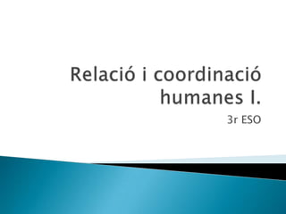 Relació i coordinacióhumanes I. 3r ESO 