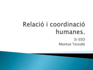 Relació i coordinacióhumanes.3r ESOMontse Teixidó