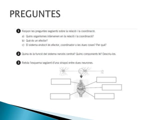 PREGUNTES