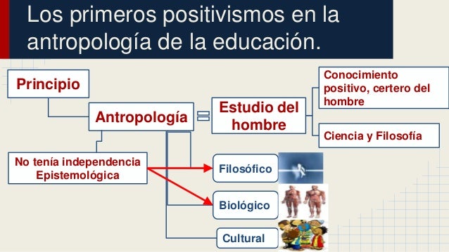 40+ Mapa Conceptual De La Antropologia Background Maesta
