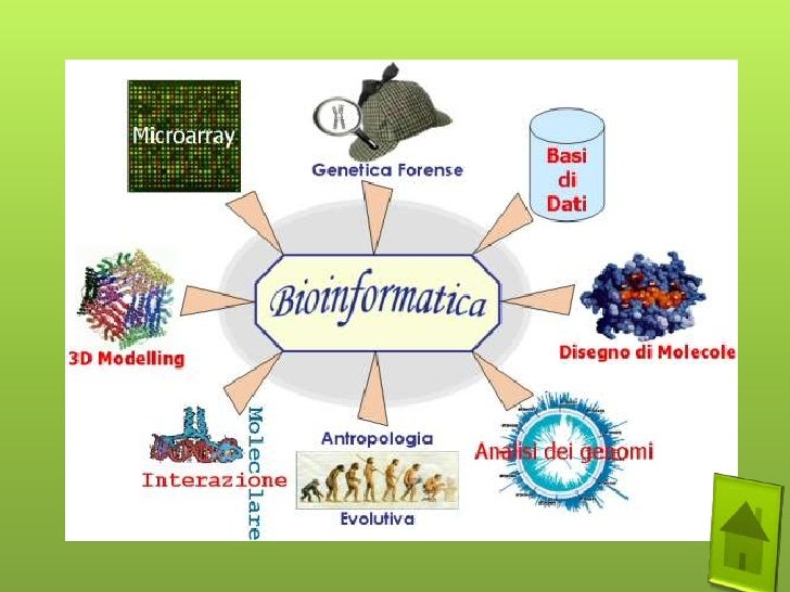 Relación de la biología con otras disciplinas