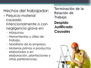 Terminación de la
Hechos del trabajador:
                                 Relación de
• Perjuicio material             Trabajo
  causado
  intencionalmente o con         Despido
  negligencia grave en:          Justificado
 ▫ Máquinas,                     Causales
 ▫ Herramientas y útiles de
   trabajo,
 ▫ Mobiliario de la empresa,
 ▫ Materias primas o productos
   elaborados o en
   elaboración, plantaciones y
   otras pertenencias;
 