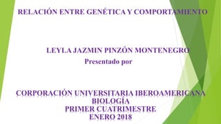 RELACIÓN ENTRE GENÉTICA Y COMPORTAMIENTO
LEYLA JAZMIN PINZÓN MONTENEGRO
Presentado por
CORPORACIÓN UNIVERSITARIA IBEROAMERICANA
BIOLOGÍA
PRIMER CUATRIMESTRE
ENERO 2018
 