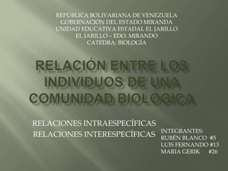REPÚBLICA BOLIVARIANA DE VENEZUELA
      GOBERNACIÓN DEL ESTADO MIRANDA
     UNIDAD EDUCATIVA ESTADAL EL JARILLO
          EL JARILLO – EDO. MIRANDO
              CATEDRA: BIOLOGÍA




RELACIONES INTRAESPECÍFICAS
                                   INTEGRANTES:
RELACIONES INTERESPECÍFICAS        RUBÉN BLANCO #5
                                   LUIS FERNANDO #13
                                   MARIA GERIK #26
 