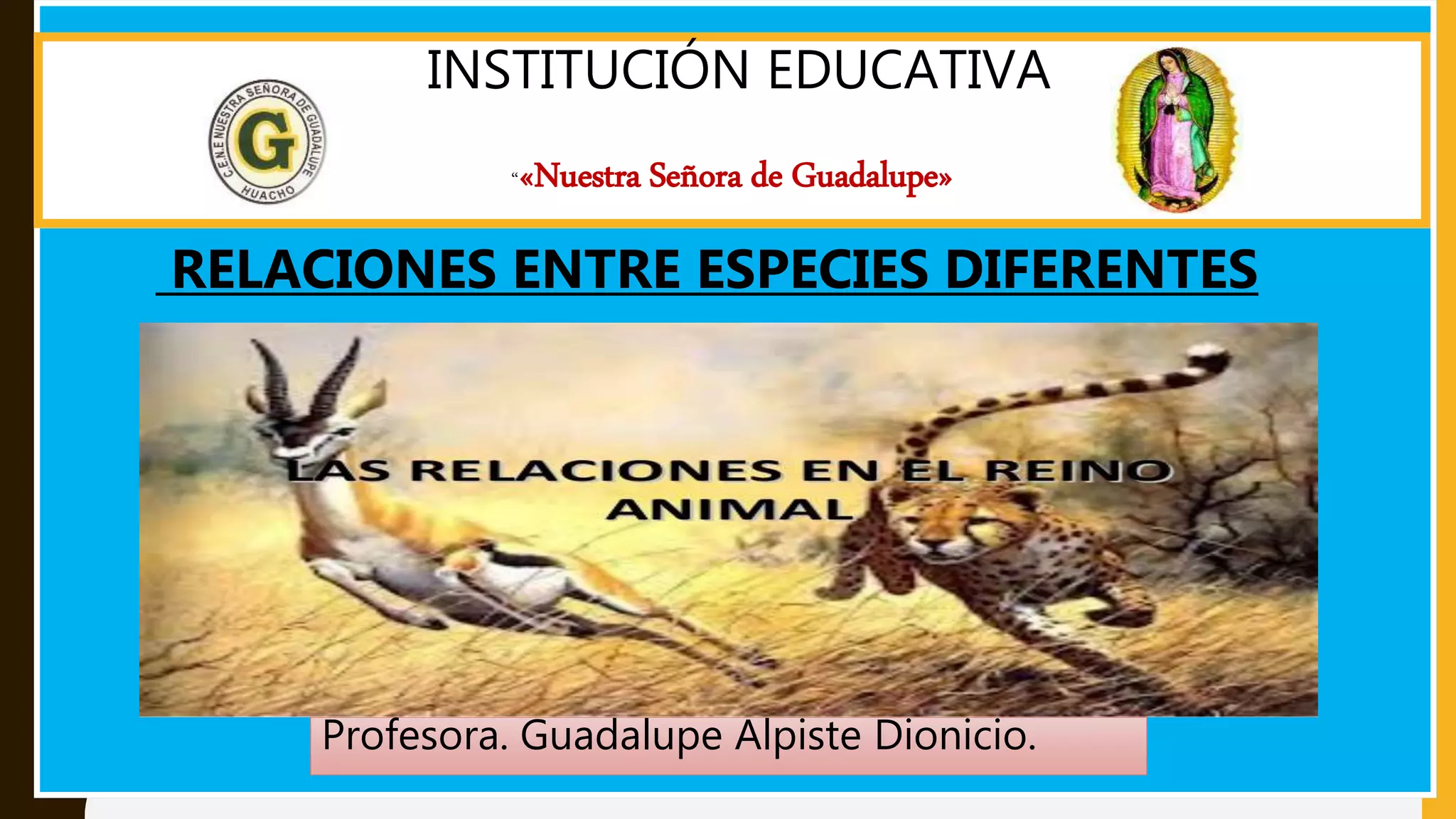 INSTITUCIÓN EDUCATIVA
“«Nuestra Señora de Guadalupe»
Profesora. Guadalupe Alpiste Dionicio.
RELACIONES ENTRE ESPECIES DIFERENTES